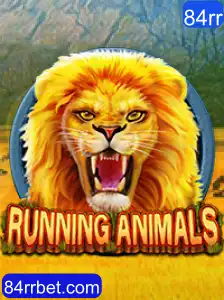 Explorando o Mundo Vibrante de RunningAnimals: Um Guia Completo